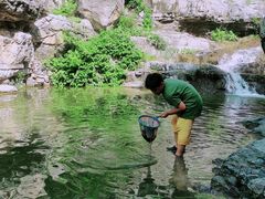 -孤山寨风景区