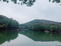 -白马涧龙池景区