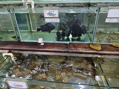 -钱大妈海鲜饭店(保利林语店)