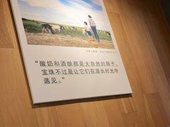 -宝珠奶酪(闵行仲盛店)