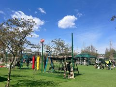 -尚庄度假村·庭台树下·户外烧烤·团建CS·轰趴营地(上庄水库店)