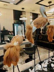 -AKOZO Beauty Salon