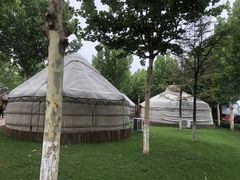 -九十九顶毡房(阜石路店)