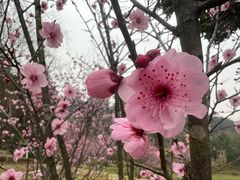-金海湾滨江公园