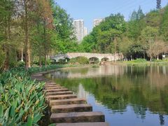 -重庆彩云湖湿地公园