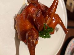 -觅唐MITONG(鸟巢店)