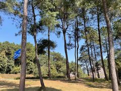 -铁山坪森林公园