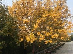 -山东大学(兴隆山校区)