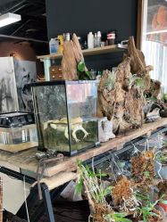 -周忆刺青原创设计定制