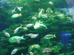 -泉城欧乐堡海洋极地世界