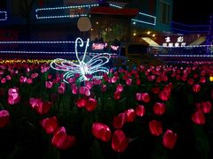 -天王浮山樱花园