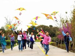 -龙口南山旅游景区