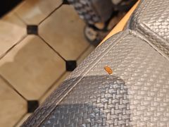 -春饼先生·北京烤鸭(甘井子万达店)