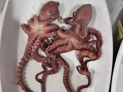 -四海鲜渔家菜(黄金海岸店)