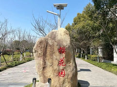 -高东镇樱花园