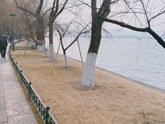 -西湖天地