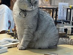 -Oasis绿洲银饰珍珠手作diy(壹方城店)