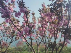 -万佛湖风景区