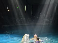 -大连圣亚海洋世界