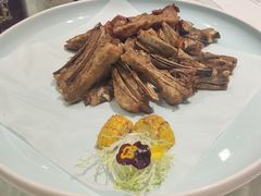 -新兴家喻酒家·羊城名宴(昌岗店)