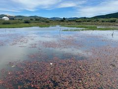 -塞罕坝国家级自然保护区