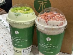 -茉酸奶(春熙路店)