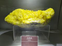 -甘肃地质博物馆