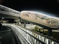-华侨公园