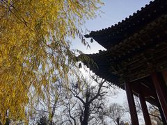 -晋祠公园