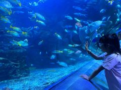 -太平洋海底世界