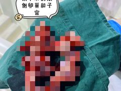 -哆趣宠物医院·眼科·内镜·急重症转诊中心(上海店)