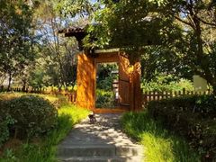 -铁山坪森林公园