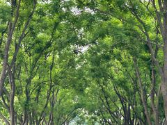 -宛平城