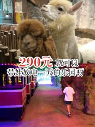 -宝燕乐园(闵行旗舰店)