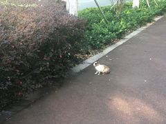 -阳澄湖半岛旅游度假区