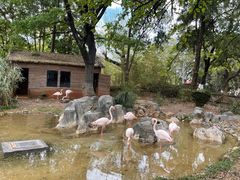 -昆明动物园