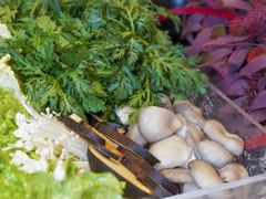 -红鼎豆捞·非遗鲍皇汤火锅(宝丰路店)