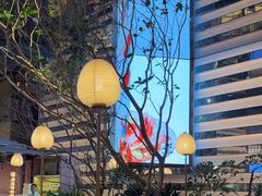 -桂满陇·海市蜃楼·黑金(国金店)