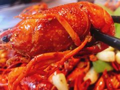 -段氏龙虾(原草高支路店)