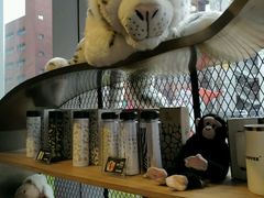 -ZOO COFFEE 动物园咖啡(亦庄店)