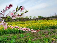 -太阳岛度假酒店