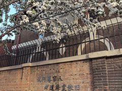 -天津五大道文化旅游区