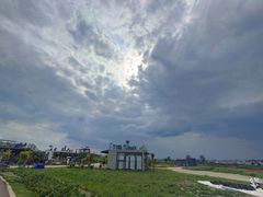 -空港花田景区