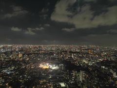 -六本木新城展望台(东京城市景观)