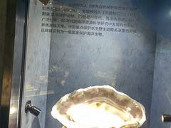 -河南自然博物馆