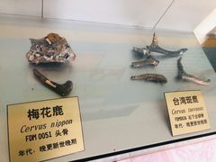 -东山风动石景区