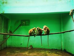 -北京野生动物园