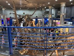 -国家自然博物馆