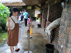 -珠海海泉湾神秘岛亲子乐园