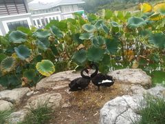 -燕郊植物园